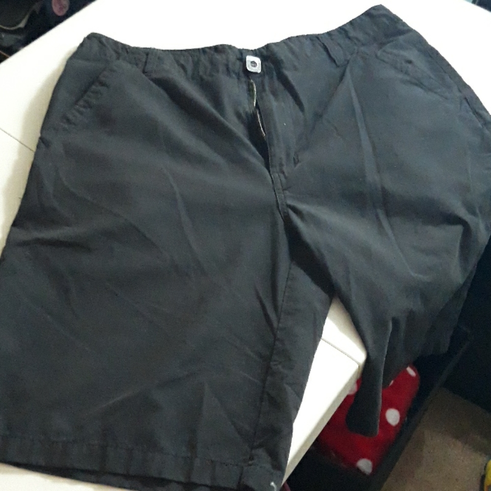 Mens 38 Ocean Earth Shorts